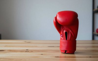 10 Best 16 oz Boxing Gloves for Heavy Bag Training (October 2026)