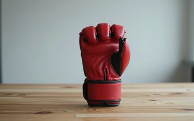 Best MMA Gloves