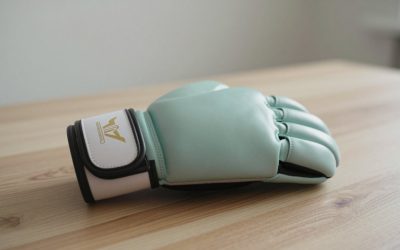 10 Best MMA Gloves for Sparring (October 2026)
