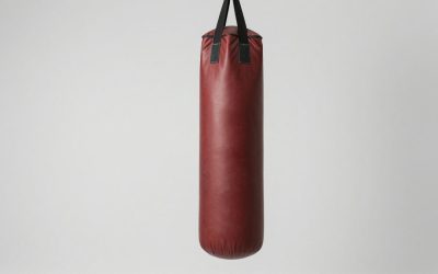 Best Punching Bags for Every Training Space